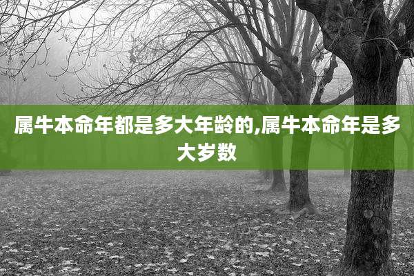 属牛本命年都是多大年龄的,属牛本命年是多大岁数