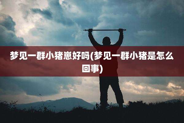 梦见一群小猪崽好吗(梦见一群小猪是怎么回事)