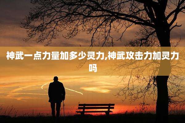 神武一点力量加多少灵力,神武攻击力加灵力吗