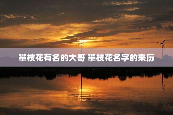 攀枝花有名的大哥 攀枝花名字的来历