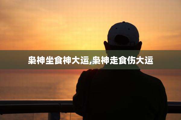 枭神坐食神大运,枭神走食伤大运