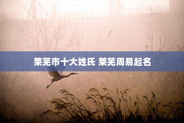 莱芜市十大姓氏 莱芜周易起名