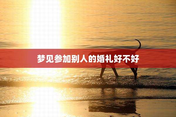 梦见参加别人的婚礼好不好