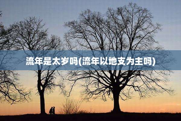 流年是太岁吗(流年以地支为主吗)