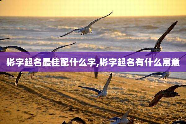 彬字起名最佳配什么字,彬字起名有什么寓意