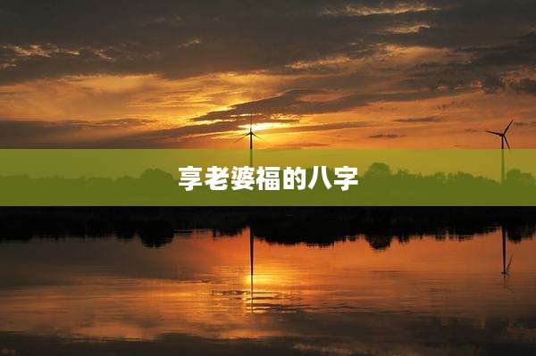 享老婆福的八字
