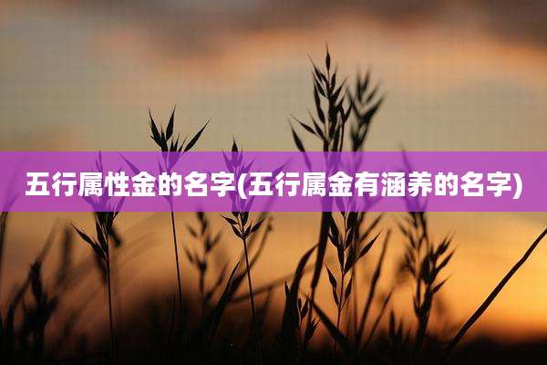五行属性金的名字(五行属金有涵养的名字)