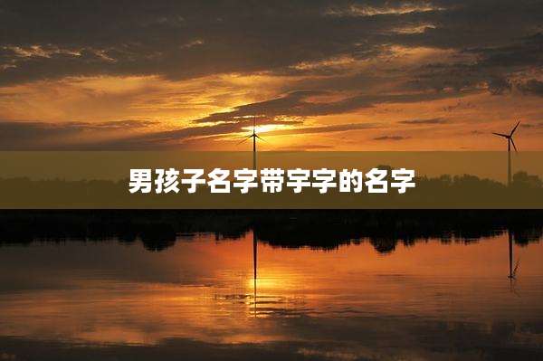 男孩子名字带宇字的名字