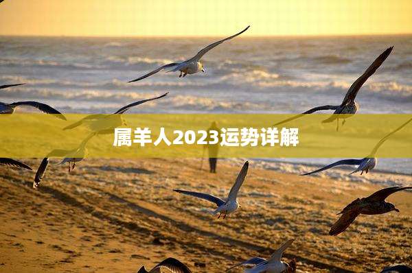 属羊人2023运势详解