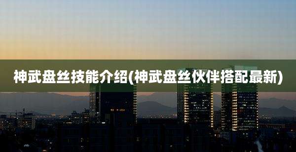 神武盘丝技能介绍(神武盘丝伙伴搭配最新)