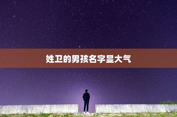 姓卫的男孩名字显大气