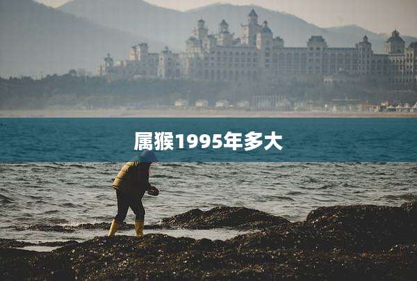 属猴1995年多大