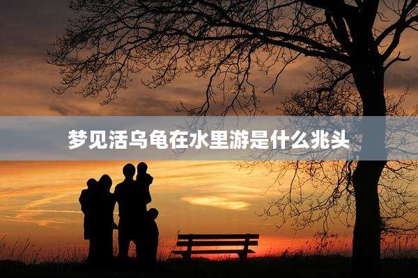 梦见活乌龟在水里游是什么兆头