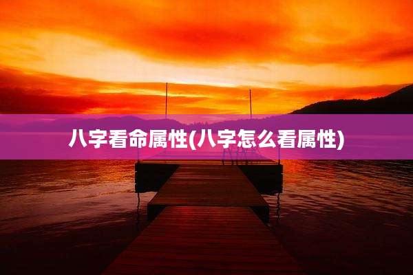 八字看命属性(八字怎么看属性)