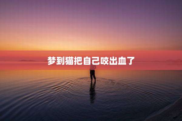 梦到猫把自己咬出血了