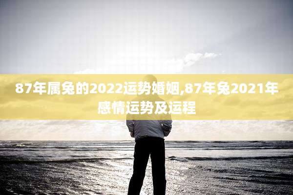 87年属兔的2022运势婚姻,87年兔2021年感情运势及运程
