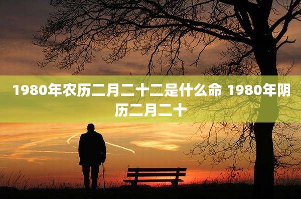 1980年农历二月二十二是什么命 1980年阴历二月二十