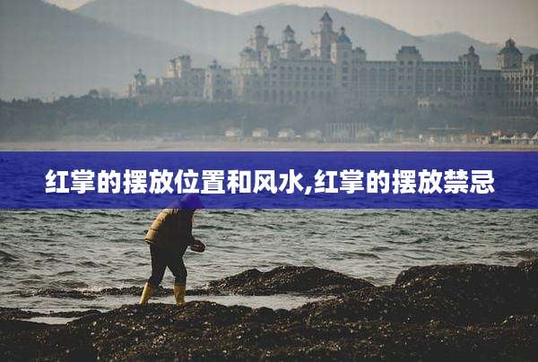 红掌的摆放位置和风水,红掌的摆放禁忌