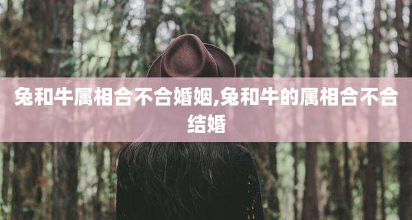 兔和牛属相合不合婚姻,兔和牛的属相合不合结婚
