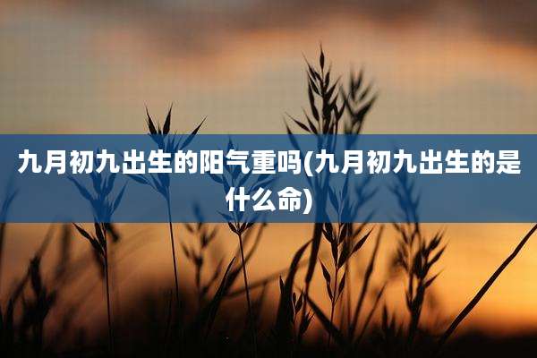 九月初九出生的阳气重吗(九月初九出生的是什么命)