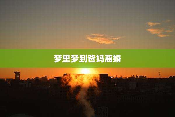 梦里梦到爸妈离婚