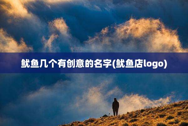鱿鱼几个有创意的名字(鱿鱼店logo)