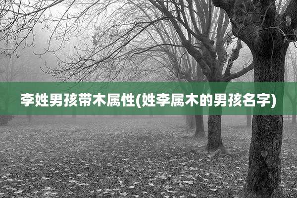 李姓男孩带木属性(姓李属木的男孩名字)