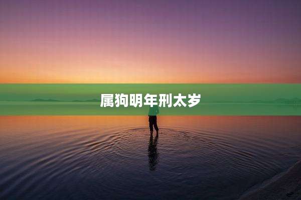 属狗明年刑太岁