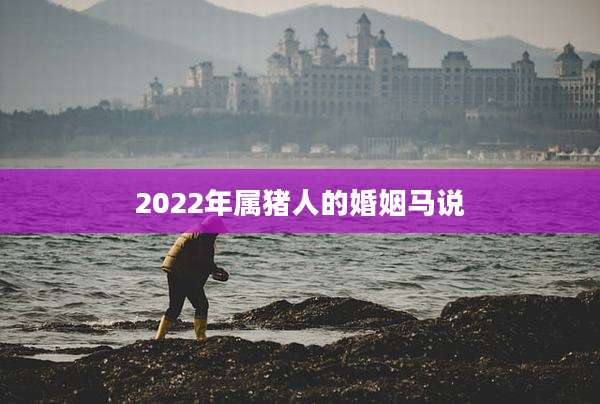 2022年属猪人的婚姻马说