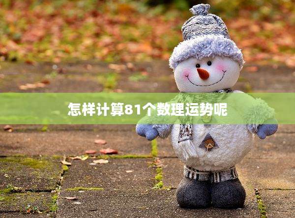 怎样计算81个数理运势呢