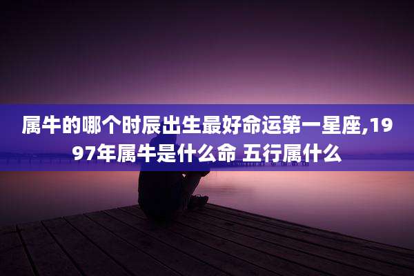 属牛的哪个时辰出生最好命运第一星座,1997年属牛是什么命 五行属什么