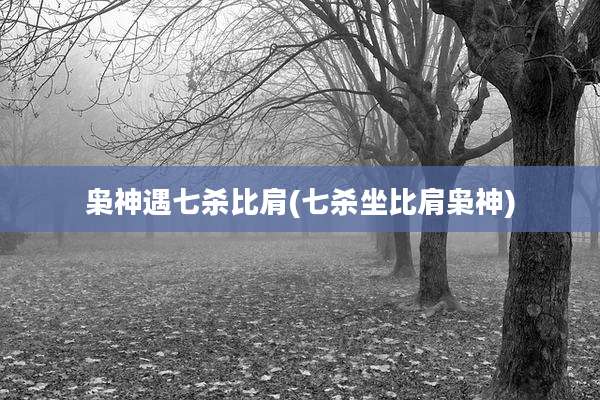 枭神遇七杀比肩(七杀坐比肩枭神)