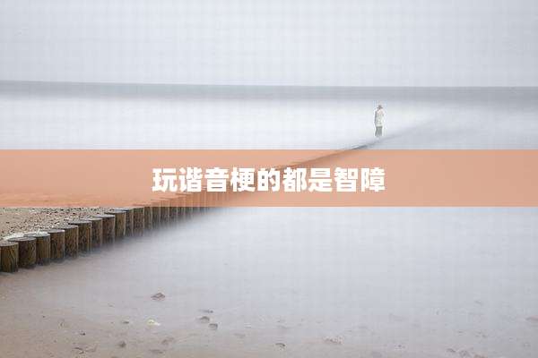 玩谐音梗的都是智障
