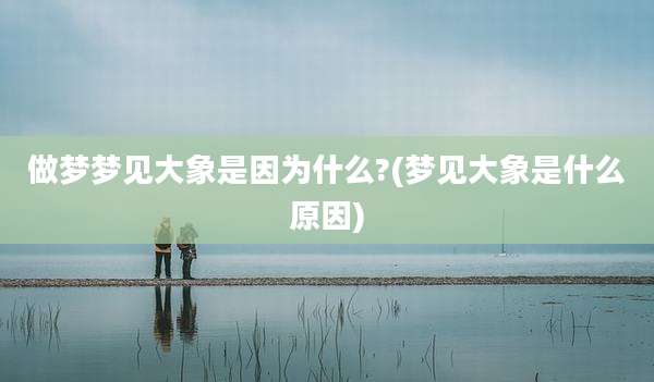 做梦梦见大象是因为什么?(梦见大象是什么原因)