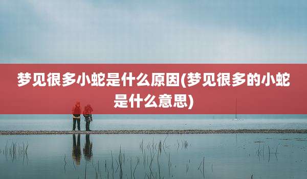 梦见很多小蛇是什么原因(梦见很多的小蛇是什么意思)