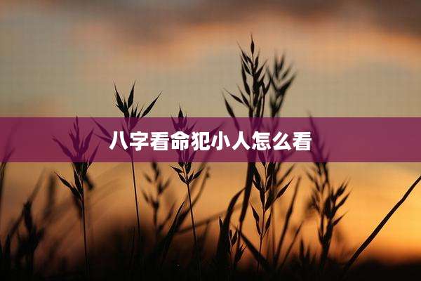 八字看命犯小人怎么看