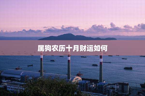属狗农历十月财运如何