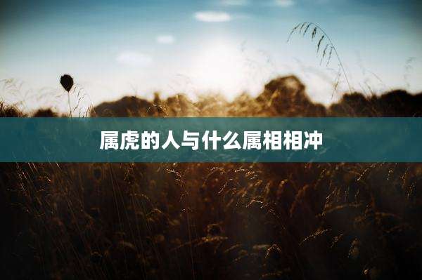 属虎的人与什么属相相冲