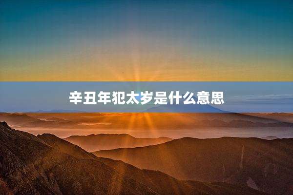 辛丑年犯太岁是什么意思