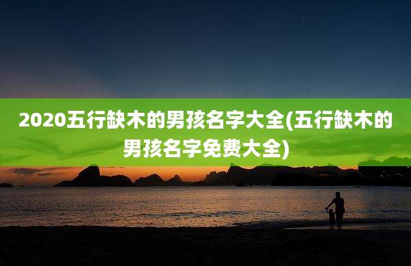 2020五行缺木的男孩名字大全(五行缺木的男孩名字免费大全)