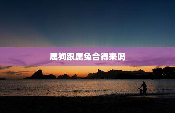 属狗跟属兔合得来吗