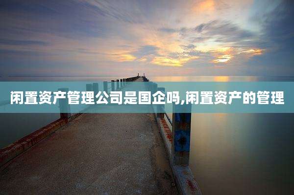 闲置资产管理公司是国企吗,闲置资产的管理