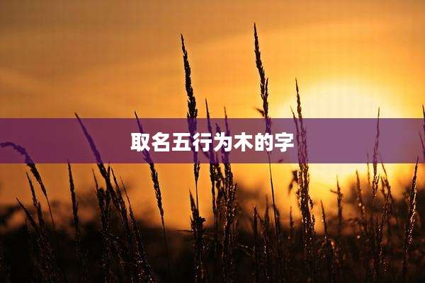 取名五行为木的字