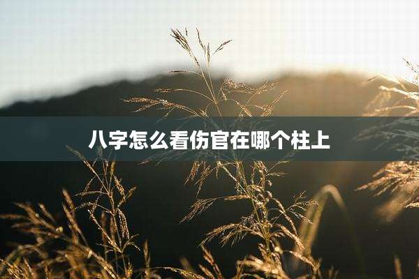 八字怎么看伤官在哪个柱上