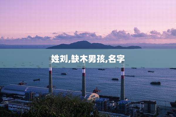 姓刘,缺木男孩,名字