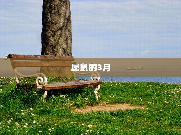 属鼠的3月