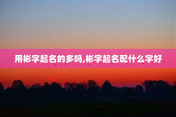用彬字起名的多吗,彬字起名配什么字好