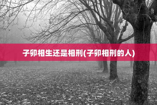 子卯相生还是相刑(子卯相刑的人)
