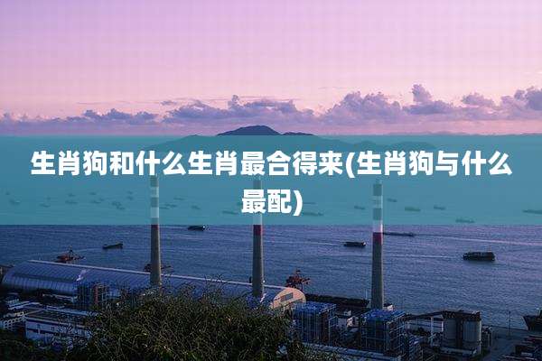 生肖狗和什么生肖最合得来(生肖狗与什么最配)