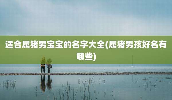 适合属猪男宝宝的名字大全(属猪男孩好名有哪些)